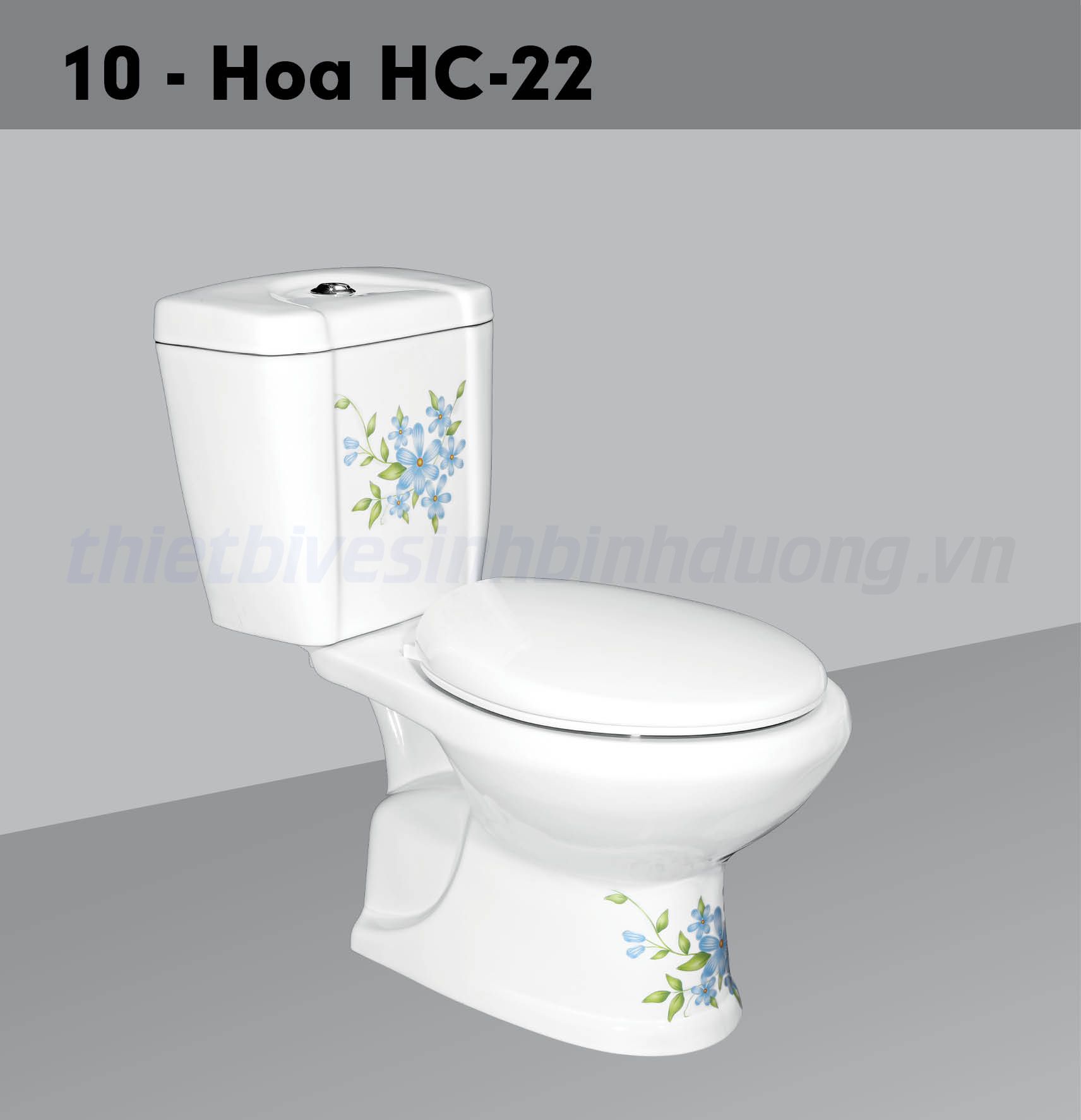 Bồn cầu sứ Hảo Cảnh HC V10